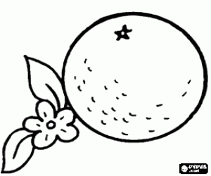 Colorear Una naranja, una fruta