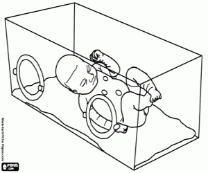 Colorear Niño prematuro en la incubadora