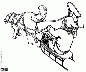 Colorear Niño en un trineo con un husky