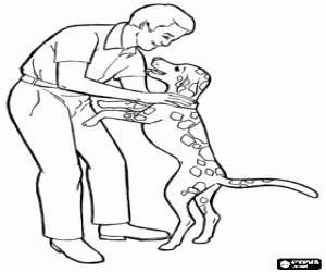 Colorear Padre con su perro,día del padre