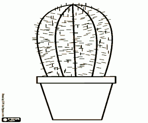 Colorear Un pequeño cactus en un tiesto