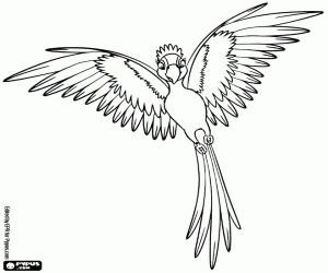 Colorear Perla luce sus plumas