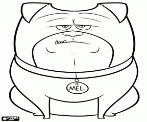Colorear Un perro de compañía, Mel