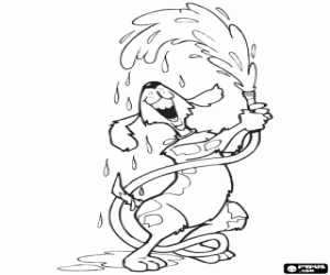 Colorear El perro juega con el agua