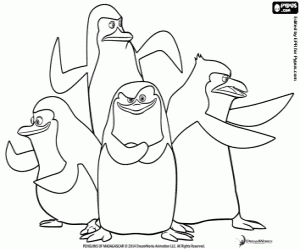 Colorear Pingüinos de Madagascar, héroes