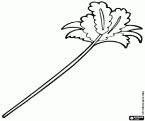 Colorear Un plumero para jugar con el gato