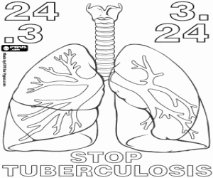Colorear Los pulmones y la tuberculosis