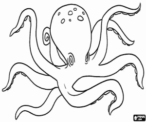 Colorear Un pulpo, un animal marino