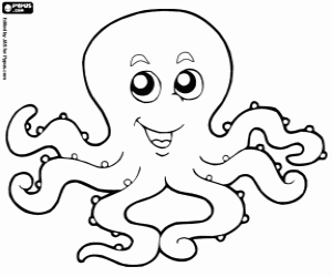 Colorear Pulpo