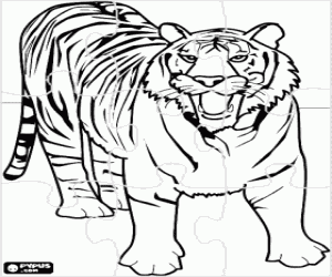 Colorear Puzzle de tigre