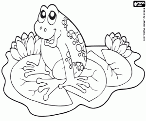 Colorear Una rana sobre un nenúfar