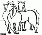 Tres caballos
