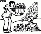 Padre e hijo recogiendo las hojas caídas de los árboles