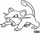 Rattata - Pokémon tipo Normal, rata atacante veloz