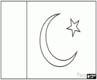 Bandera de Pakistán o Paquistán