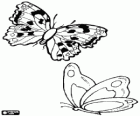 Mariposas volando