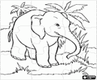 Puzzle de elefante en la selva