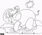 Ducha del elefante - Elefante se refresca con el agua de una charca bajo el sol de la sabana