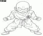 Krilin es el primer rival de Son Goku en los entrenamientos con Maestro Roshi y se convierte en su mejor amigo