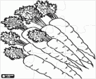 Puzzle de Zanahorias