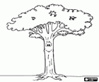 Árbol alto y con largo tronco