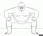Luchador de sumo preparado para el combate, el sumo es un tipo de lucha libre