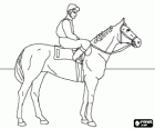 Jockey montado sobre su caballo antes de comenzar la carrera