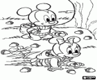 Los pequeños Baby Mickey y Baby Minnie recogiendo bellotas en el bosque
