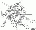 Las cuatro Tortugas Ninja: Leonardo, Michelangelo, Donatello y Raphael. Las Tortugas Ninja o TMNT