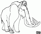 El mamut lanudo es una especie de elefante que vivía en la edad de hielo