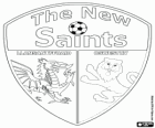 Logo de The New Saints FC, club galés de fútbol