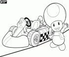 Toad con un kart. Toad es un ciudadano del Reino del Champiñón y leal sirviente de la princesa Peach