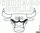 Logo de Chicago Bulls, equipo de NBA. División Central, Conferencia Este