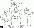 Los  pingüinos de Madagascar