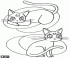 Luna y Artemis, los gatos son consejeros de diferentes personajes en las historias de Sailor Moon