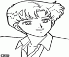 El atractivo Darien o Mamoru Chiba, uno de los protagonistas de Sailor Moon