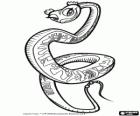 La serpiente es una luchadora de Kung Fu, Maestra Víbora
