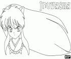 La cabeza de Inuyasha con su larga cabellera 