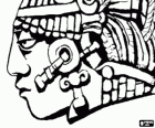 Perfil de la cabeza de un guerrero maya