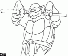 Donatello, el arma de esta tortuga ninja es el largo bastón japonés Bo