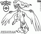 Reshiram, Pokémon legendario, Dragón / Fuego. La mascota de Pokémon Negro