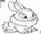 Cybunny, el bonito conejito de Neopets