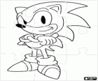 Puzzle de Sonic The Hedgehog