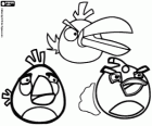 Tres de los pájaros de Angry Birds