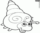 Caracol de mar