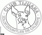 Logo del Club Tijuana Xoloitzcuintles de Caliente, Xolos de Tijuana. Equipo de fútbol de México