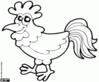 Gallo