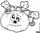 Calabaza