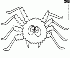 Araña