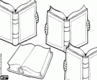 Dia Mundial del Libro, 23 de abril. La lectura de los libros